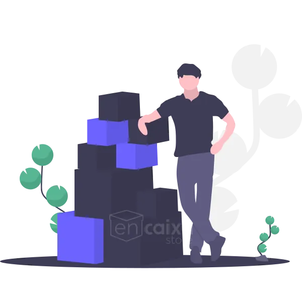 caixas para mudanças Ribeirão Preto